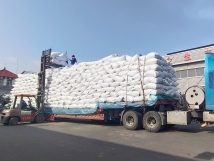 把握機(jī)遇、鉚足干勁、承勢而上