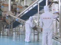 2025年的第一個月，承德亞歐果仁有限公司在山杏產(chǎn)業(yè)的道路上持續(xù)奮進(jìn)，展現(xiàn)出蓬勃的發(fā)展活力。
